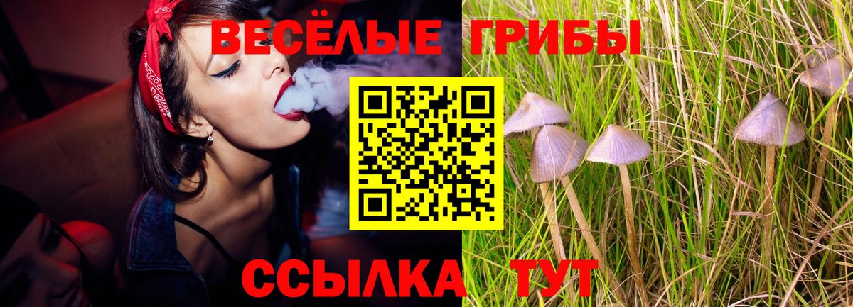 Галлюциногенные грибы мицелий  Вход с VPN  Мыски 