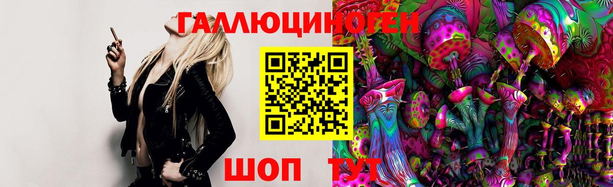 Галлюциногенные грибы GOLDEN TEACHER Мыски